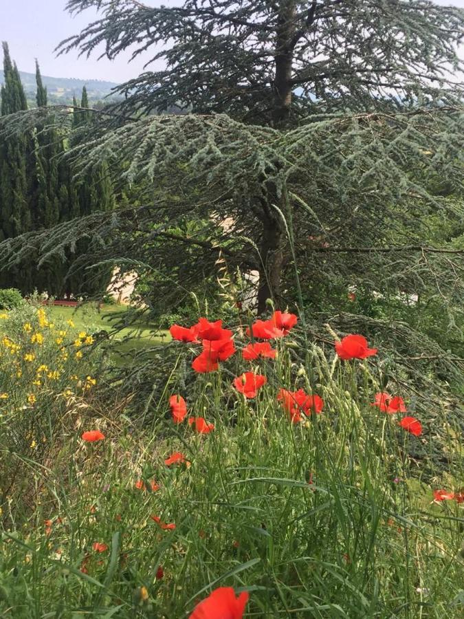 Bed and Breakfast Casale Sant'Elia Capranica Екстер'єр фото